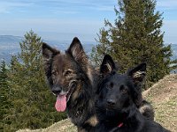 Shani und Gitan